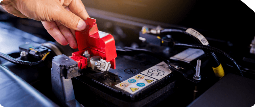 Electrical & Starting System